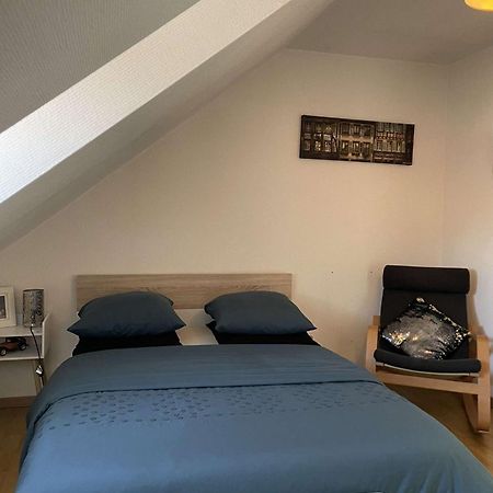 Joli Appartement Avec Place De Parking Prive Кольмар Екстер'єр фото
