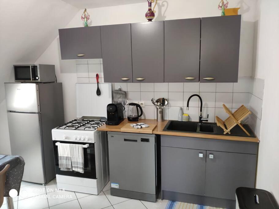Joli Appartement Avec Place De Parking Prive Кольмар Екстер'єр фото