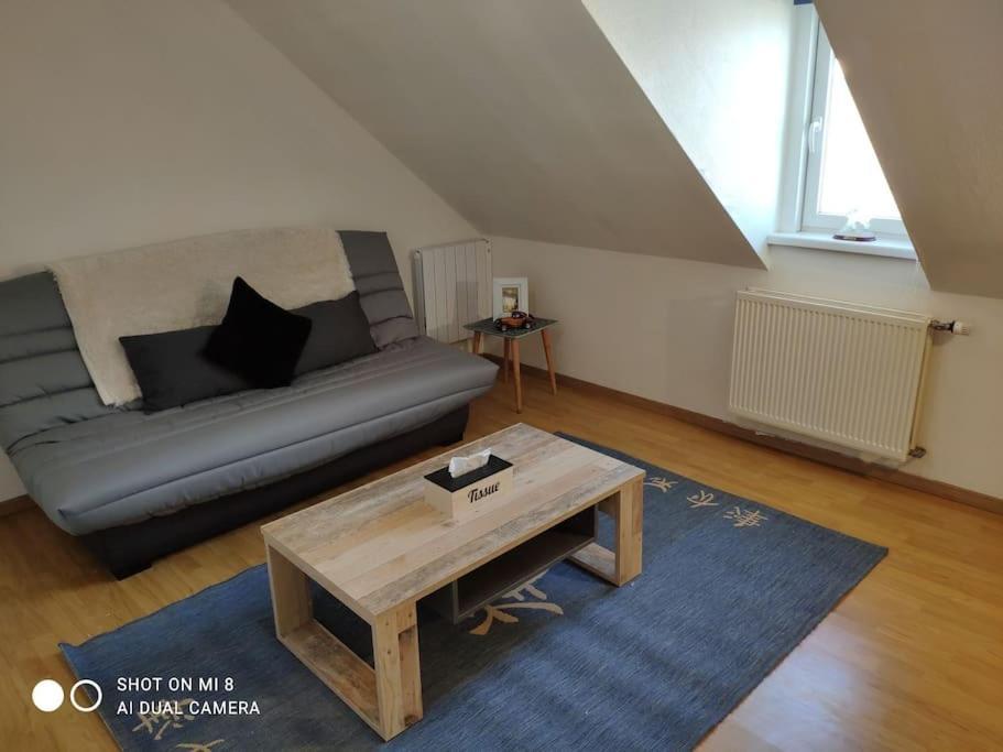 Joli Appartement Avec Place De Parking Prive Кольмар Екстер'єр фото