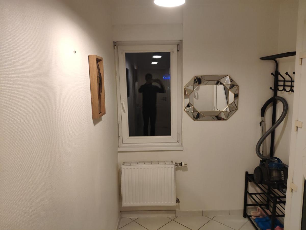 Joli Appartement Avec Place De Parking Prive Кольмар Екстер'єр фото