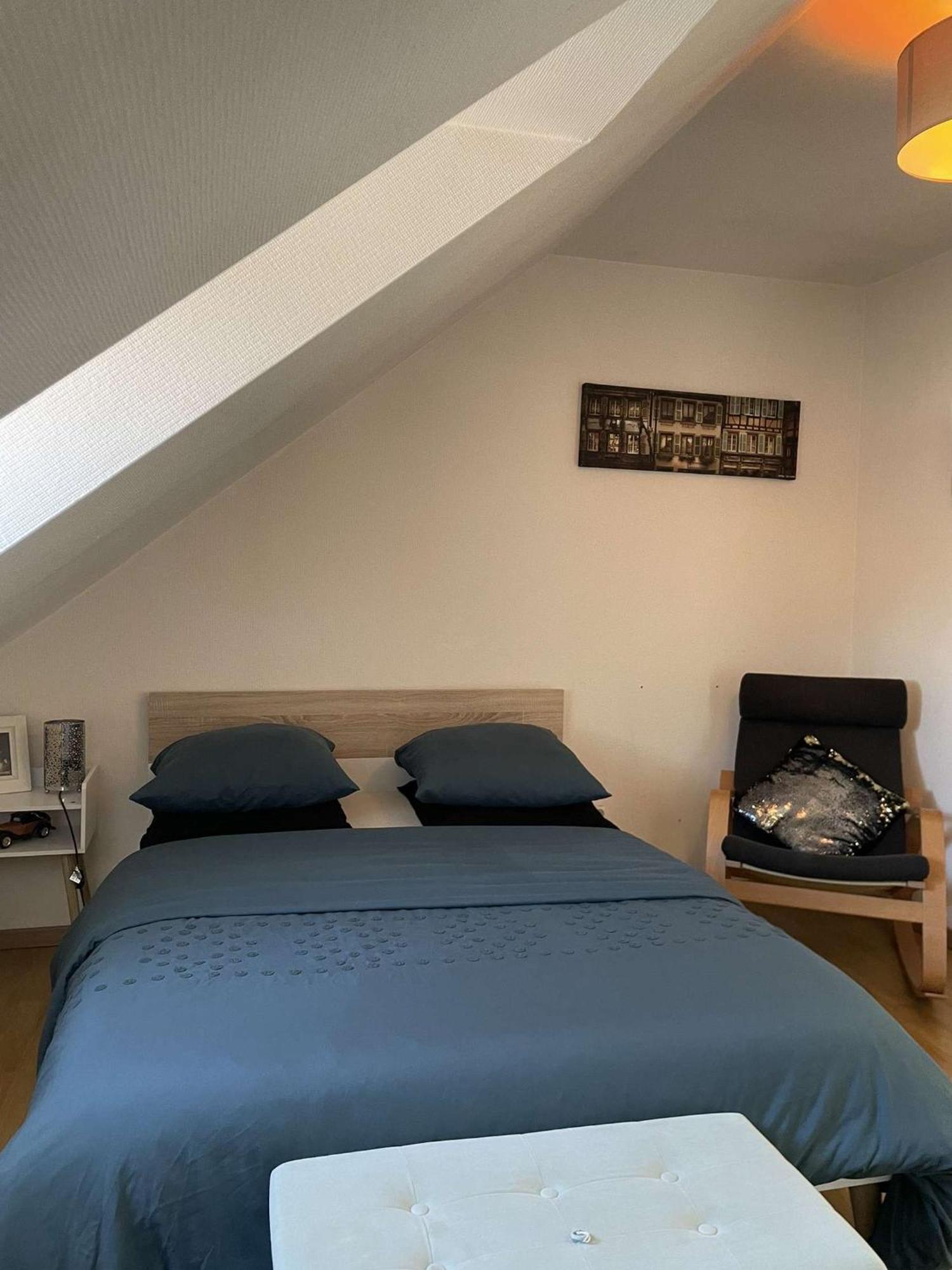 Joli Appartement Avec Place De Parking Prive Кольмар Екстер'єр фото